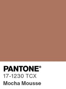 Mocha Mousse couleur année 2025